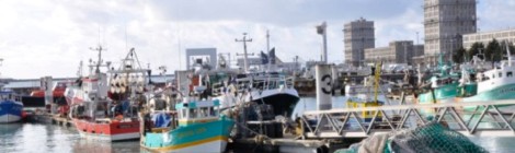 Visite découverte : visite de la criée et du port de Boulogne