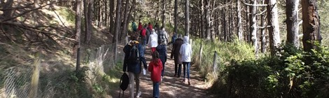 Balade nature "Les Dunes du Royon»