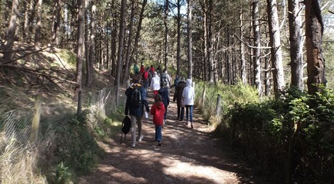 Balade nature "Les Dunes du Royon»