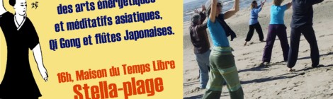 L’art du Qi Gong