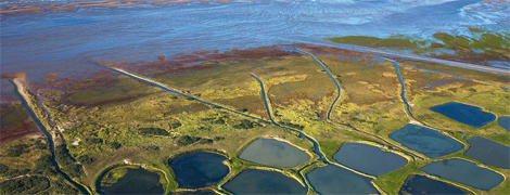 etaples photo frederic larrey2