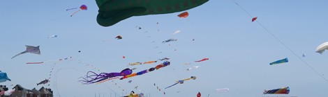 Festival des Cerfs Volants