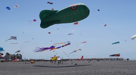 Festival des Cerfs Volants