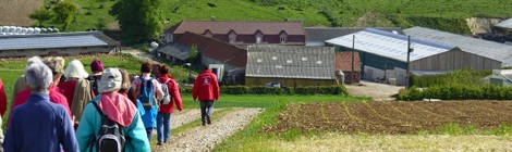 11ème édition de Randoferme