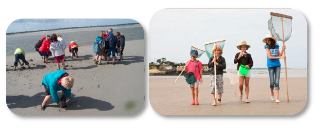 Capture d’écran 2016-05-02 à 12.05.38