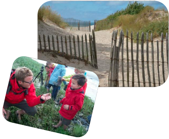 Capture d’écran 2016-05-02 à 12.07.52