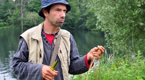 Légumes sauvages de Picardie