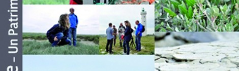 Découverte de la pointe du Hourdel et de la colonie de phoques.