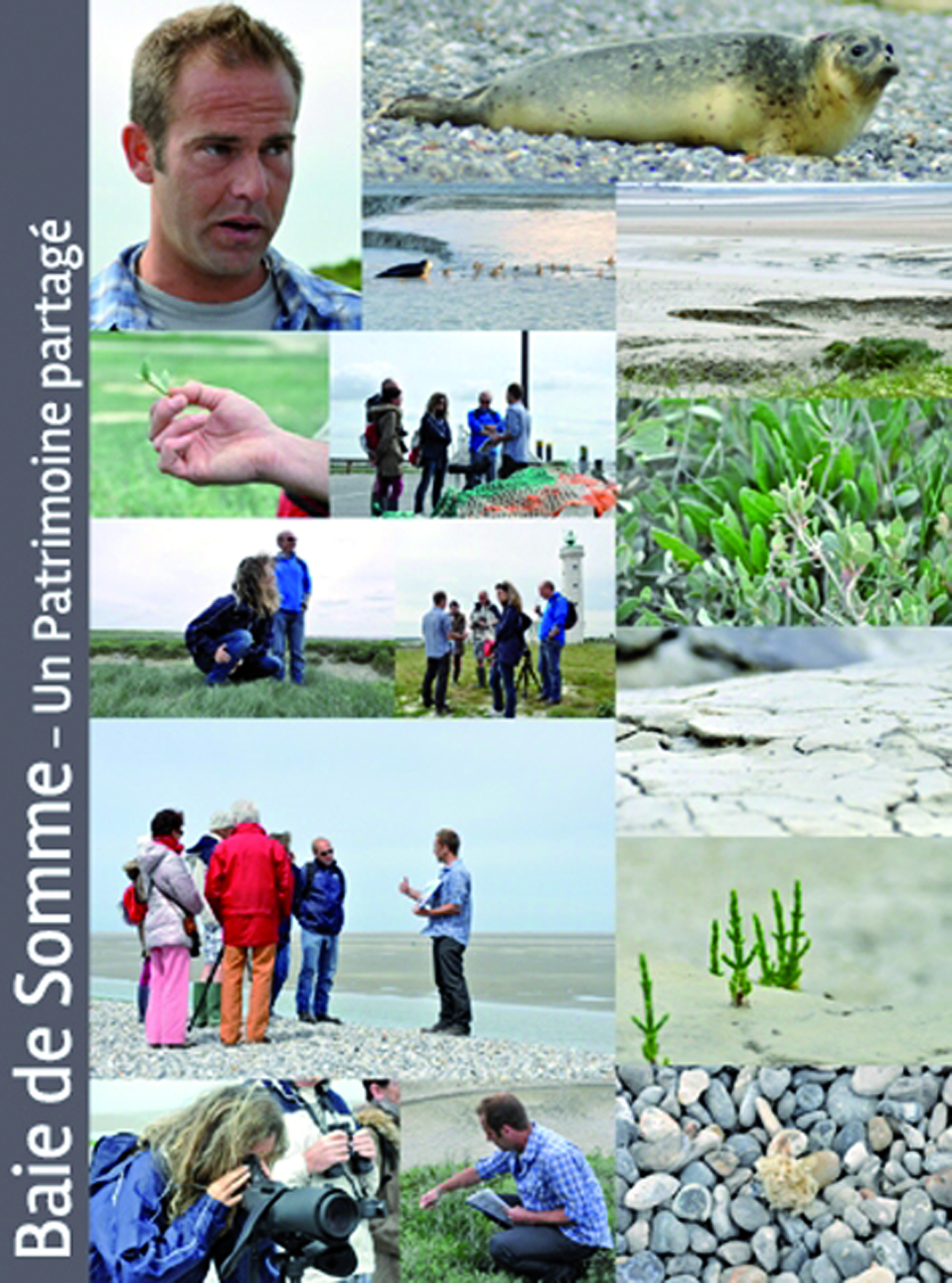 13 06 hourdel_decouverte_pointe_hourdel_colonie_phoques rvb