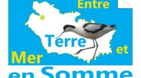 Soirée au clair de lune