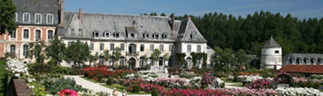 Les Patrouilles de parapluies