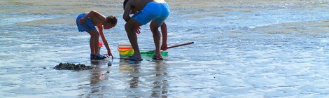 Découvrons la pêche à pied