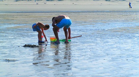 Découvrons la pêche à pied