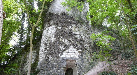 Visite accompagnée et commentée de la ville.