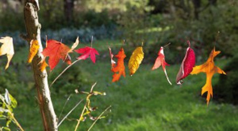 Rendez-vous au jardin...