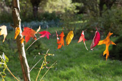 abbeville garopole rendez-vous au jardin