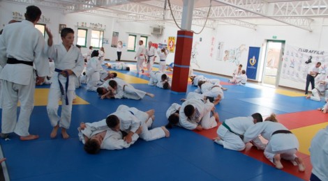 Stage de judo