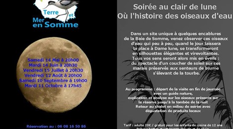 Soirée au clair de lune