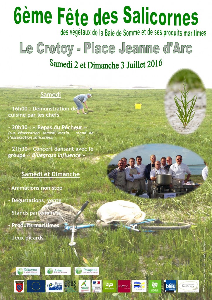 affiche salicorne 2016