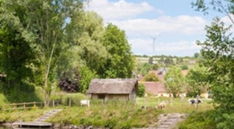 Balade en bateau électrique