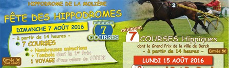 Courses hippiques