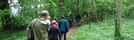 Journée mycologique