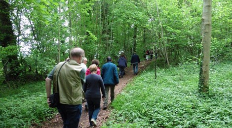 Journée mycologique