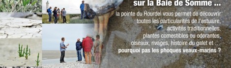 Découverte de la pointe du Hourdel et de la colonie de phoques.