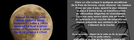 Soirée au clair de lune