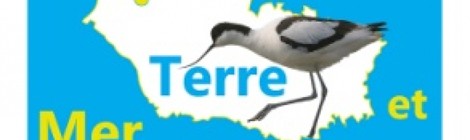 Visite de la Réserve Ornithologique > tous les samedis
