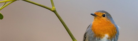 Sortie Grandes Marées