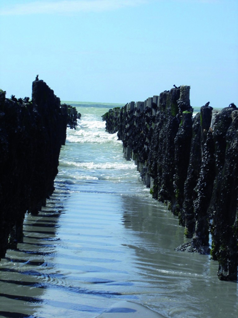 17 09 quend balade moules de bouchot