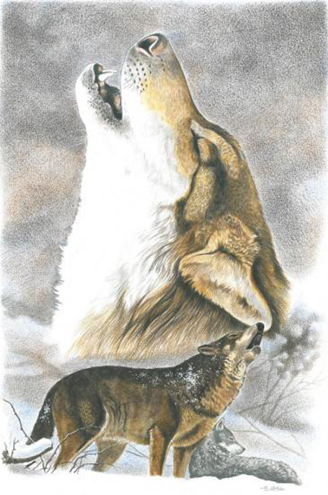 23 09 montreuil festival artiste.animalier.loup-dominique.gall