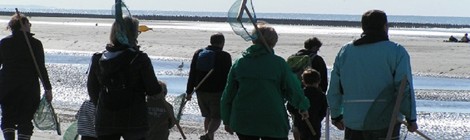 Découvrons la pêche à pied