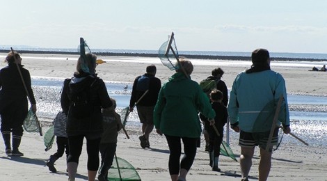 Découvrons la pêche à pied