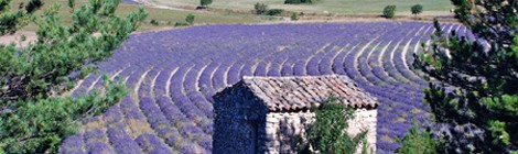 Connaissance du Monde « La Provence »