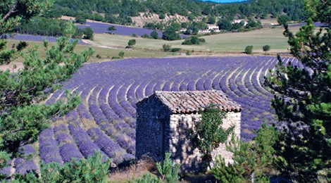 Connaissance du Monde « La Provence »