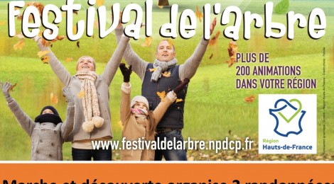 Il y a plus dans les forêts que dans les livres