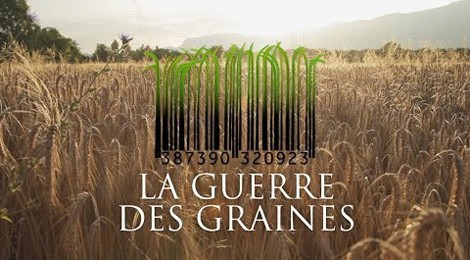 La guerre des graines