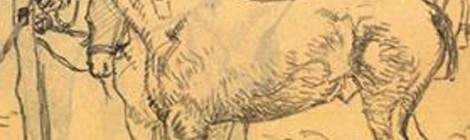 Les équidés dans la Grande Guerre