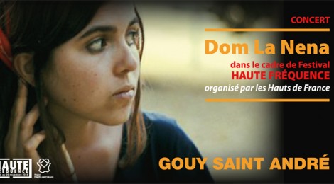 Dom La Nena en concert