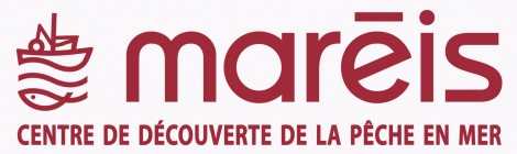 Visite guidée d’une usine de transformation de poisson