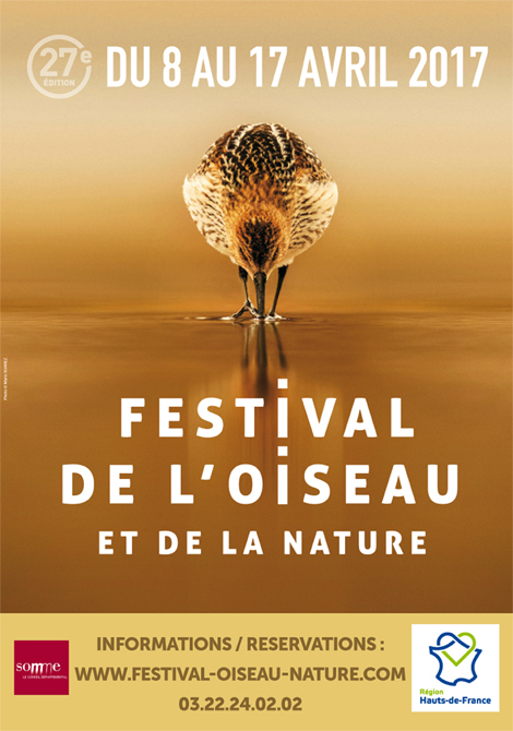festival de loiseau