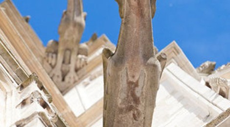 ANCIENNE COLLÉGIALE ROYALE SAINT VULFRAN – ASCENSION DES TOURS