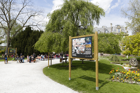 11 04 abbeville zoizillons -® Com des images - T Henin-7216