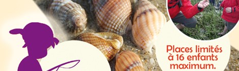 ANNULÉ / ATELIER PÊCHE À PIED