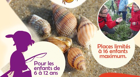 ANNULÉ / ATELIER PÊCHE À PIED