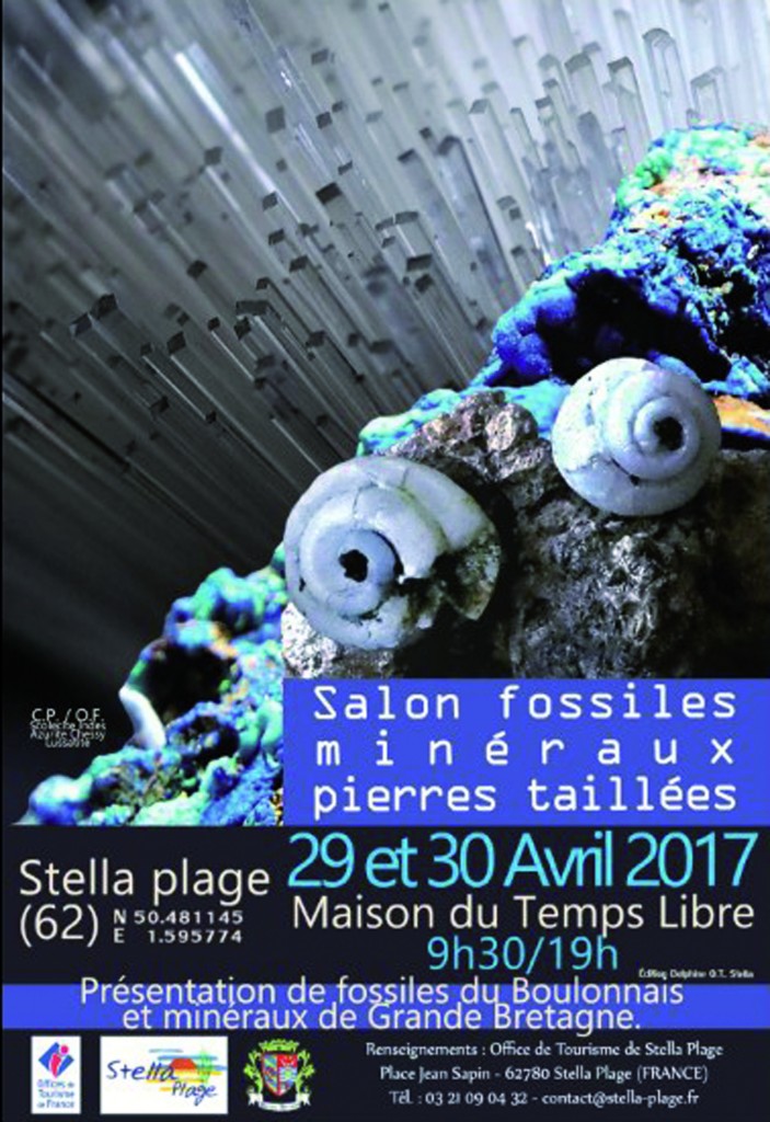 29 04 stella mineraux