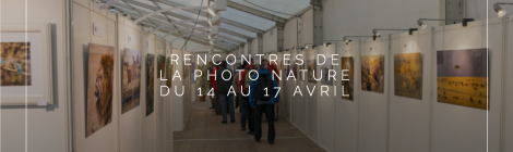 Rencontres de la Photo Nature