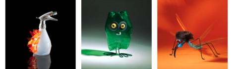 FESTIVAL DE L’OISEAU ET DE LA NATURE